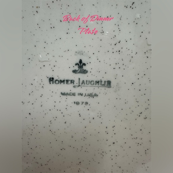 Vintage Homer Laughlin Garden Song 70's
Dinner Plate and Salad/Dessert Plate- - Picture 4 of 6